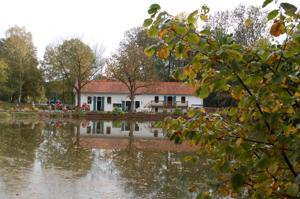 Blick über den See auf die alte Wassermühle ©Ina Homfeld