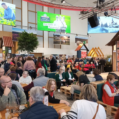 Blick in die Niedersachsenhalle © Ina Homfeld