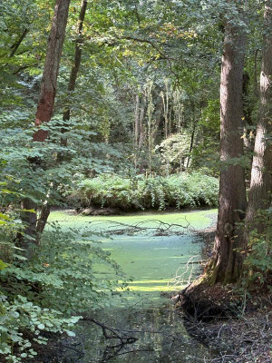 Eindrücke unterwegs © Irmtraud Homfeld