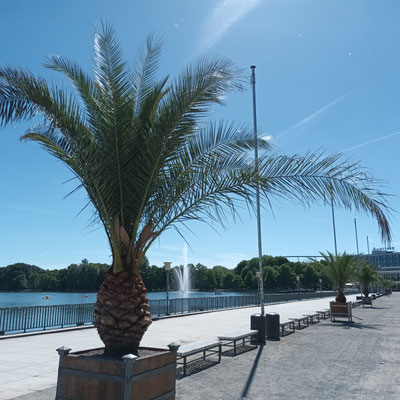 Mediteranes Feeling am Maschsee! © Ina Homfeld