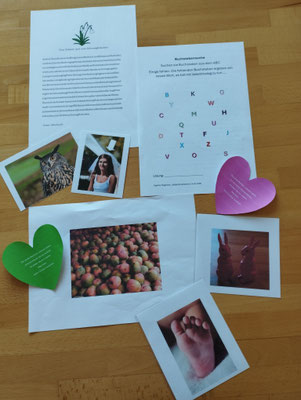 Einige Beispiele für das Training © Dagmar Stegmann