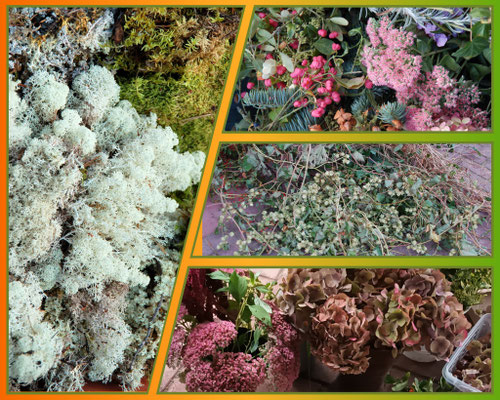 Die Farben des Herbstes in den unterschiedlichsten Farbfacetten! © Ina Homfeld