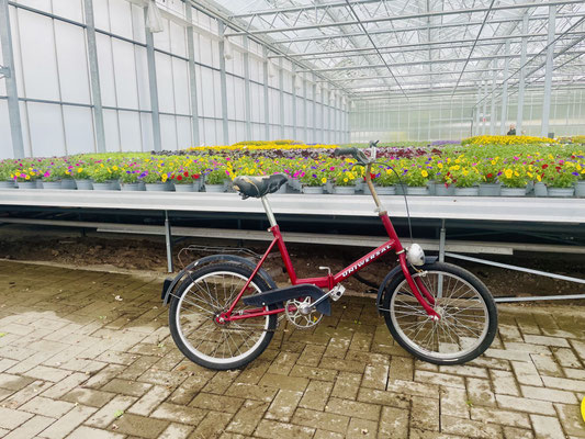 Das Fahrrad für die Wege auf dem weitläufigen Gelände! ©Melanie Bockhop
