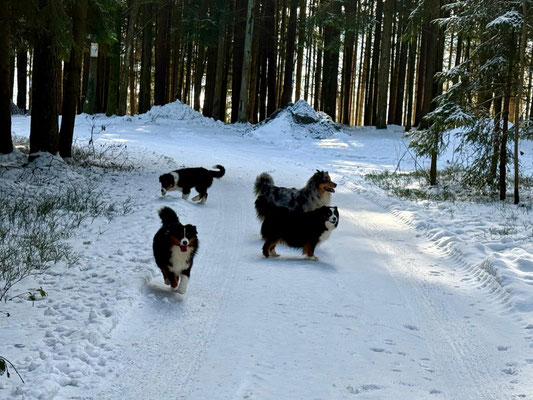Vier Aussies die den Schnee genießen 