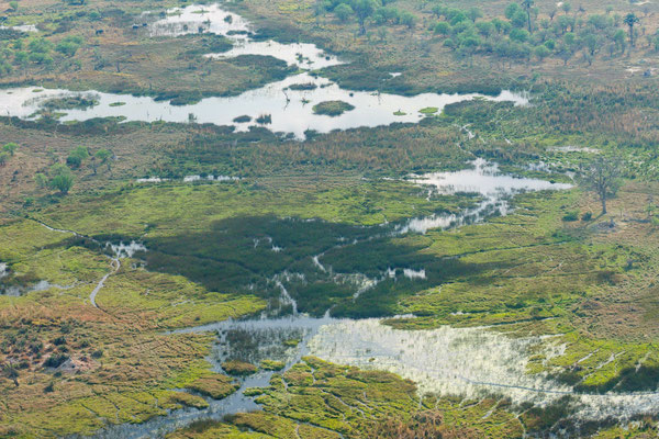 Okavangodelta aus der Luft
