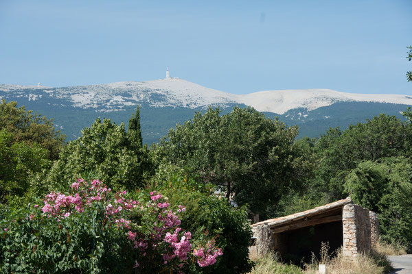 Blick auf den Mont Ventoux