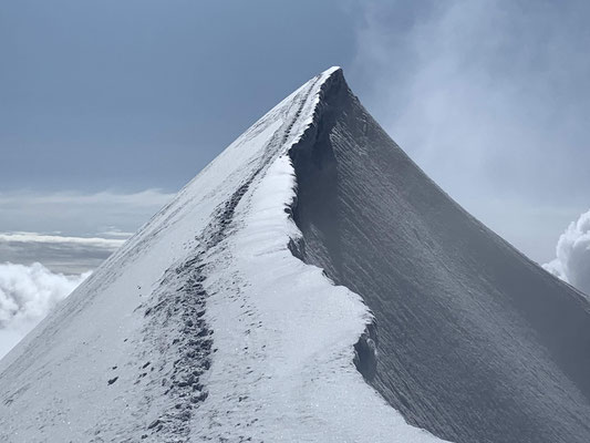 Monte Rosa Liskamm Castor Bergführer