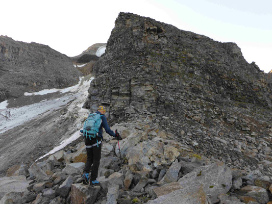 Ortler Bergführer Vertainspitze Hoher Angulus