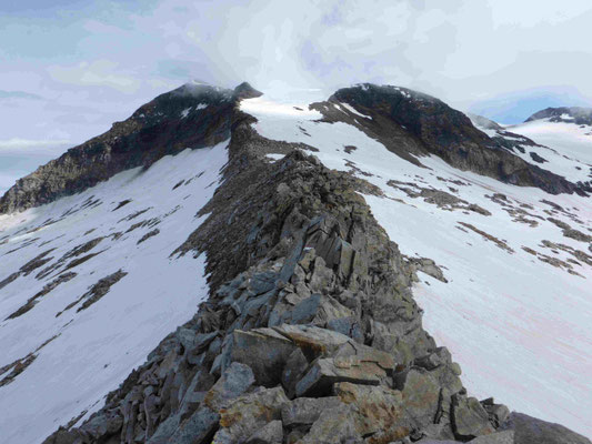 Hoher Sonnblick Hocharn Goldzechkopf Bergführer