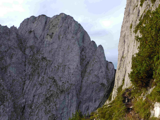 Donnerkogel Klettersteig Bergführer