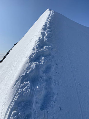 Bergführer Biancograt Piz Palü