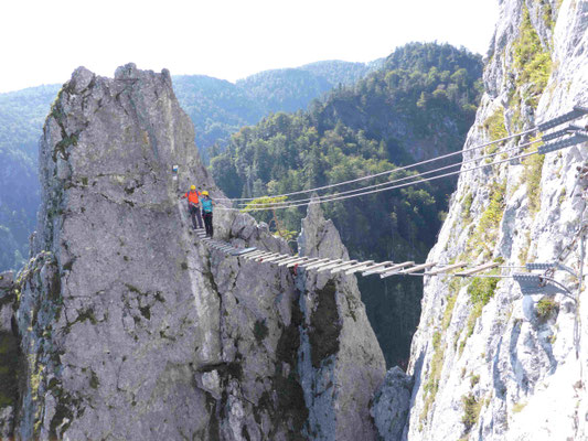 Klettersteig Klettersteigkurs Salzkammergut Drachenwand Bergführer