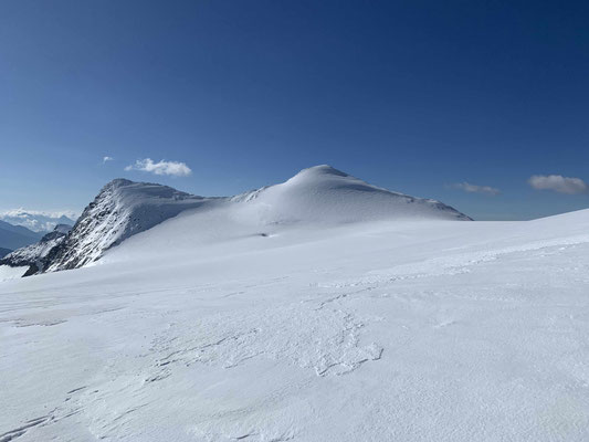 Bergführer Schitour Rainerhorn