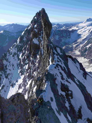 Ortler Hintergrat Bergführer