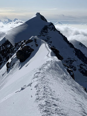 Monte Rosa Liskamm Castor Bergführer