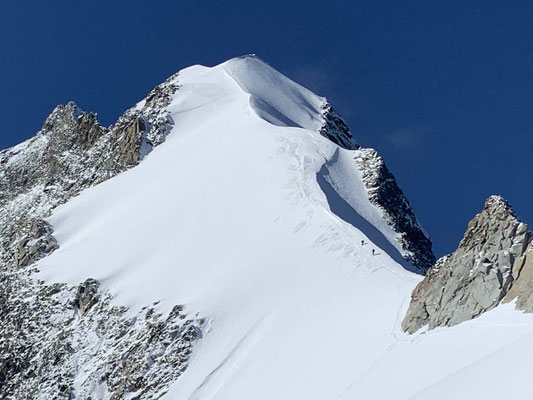 Bergführer Biancograt Piz Palü