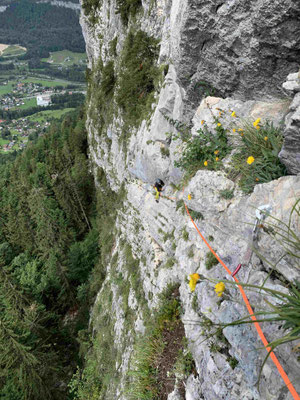 Bergführer Sportklettern Salzkammergut Seenot