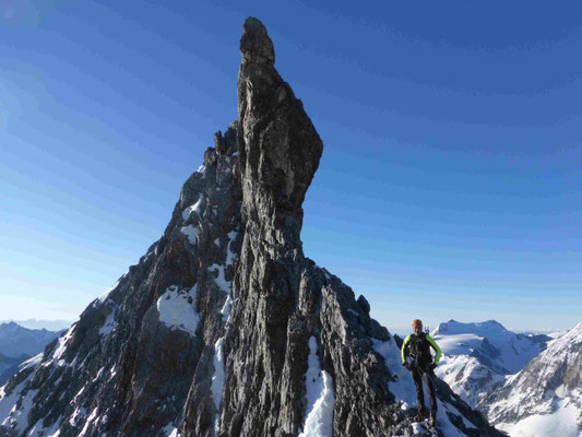 Ortler Hintergrat Bergführer