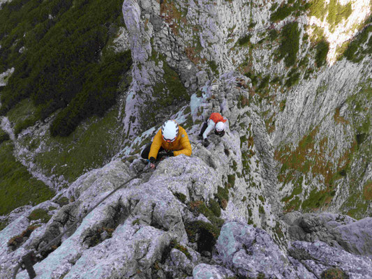 Donnerkogel Klettersteig Bergführer