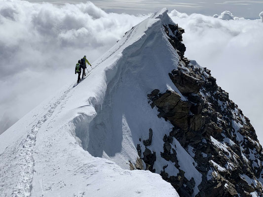 Monte Rosa Liskamm Castor Bergführer