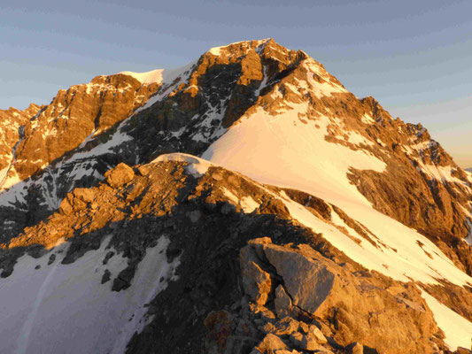 Ortler Hintergrat Bergführer