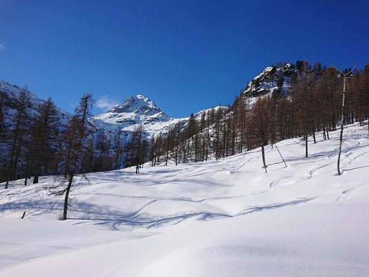 Bergführer Skitour