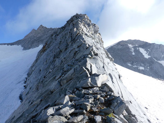 Bergführer Zillertal Großer Möseler Turnerkamp Hoher Weißzynt