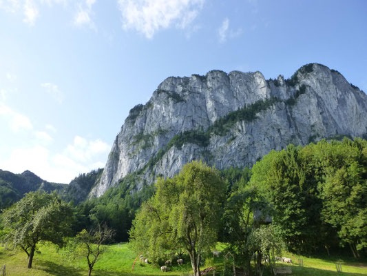 Klettersteig Klettersteigkurs Salzkammergut Drachenwand Bergführer