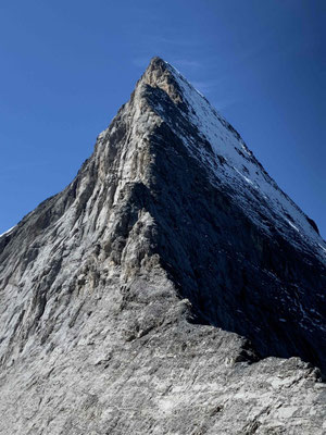 Eiger Mittellegigrat Bergführer