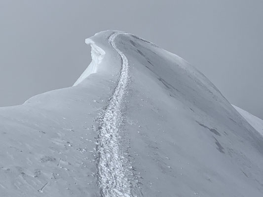 Monte Rosa Liskamm Castor Bergführer