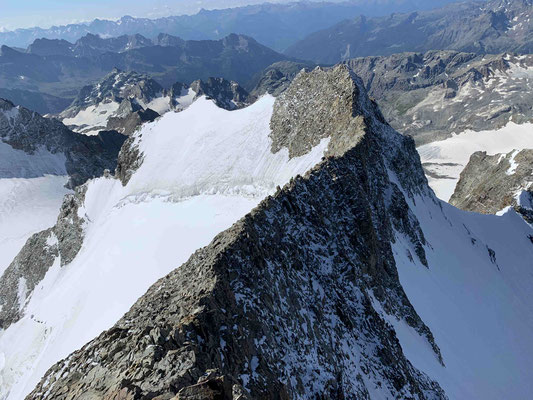 Bergführer Biancograt Piz Palü