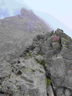 Hoher Sonnblick Hocharn Goldzechkopf Bergführer