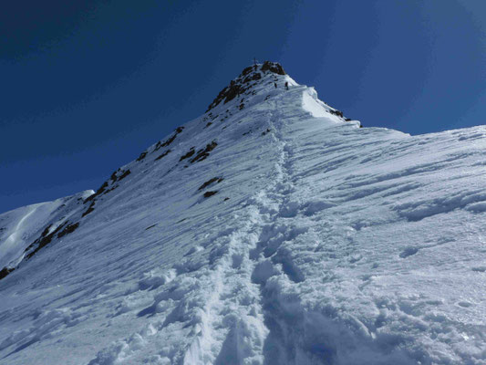 Bergführer Wildspitze