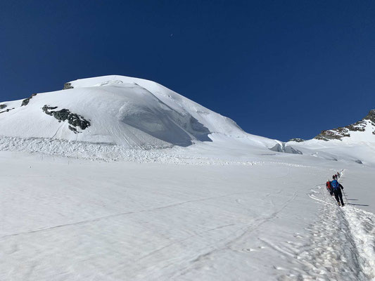 Bergführer Wallis Saas Fee Allalinhorn Weissmies