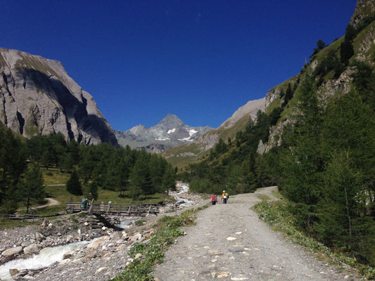 Großglockner Stüdlgrat mit Bergführer