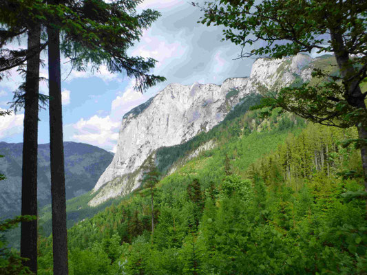 Trisselwand Hoferweg Bergführer