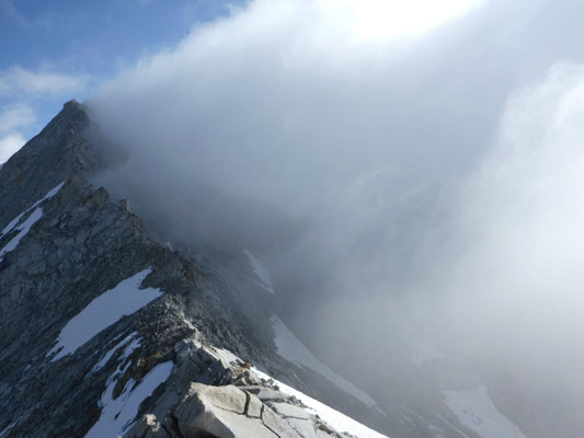 Bergführer Zillertal Großer Möseler Turnerkamp Hoher Weißzynt