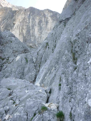 Trisselwand Hoferweg Bergführer 