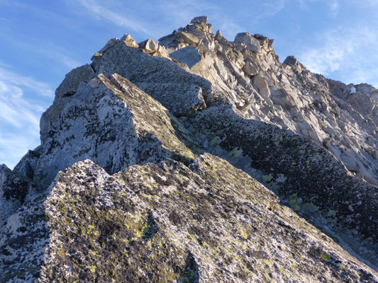 Bergführer Zillertal Großer Möseler Turnerkamp Hoher Weißzynt