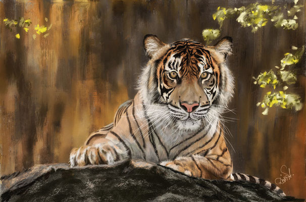 Tiger, nach freiem Foto von Pixabay 