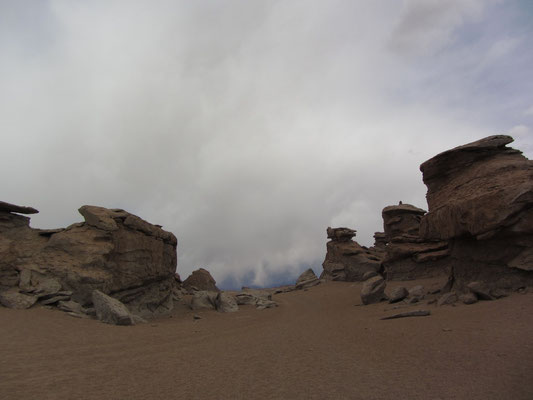 Die Salvador-Dalí-Wüste (span. Desierto de Salvador Dalí) ist eine etwa 110 km² große Steinwüste inmitten des Nationalparks der Fauna der Anden "Eduardo Avaroa".