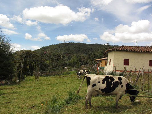 Unsere Nachbarschaft in Santa Elena auf 2500m über dem Meeresspiegel.