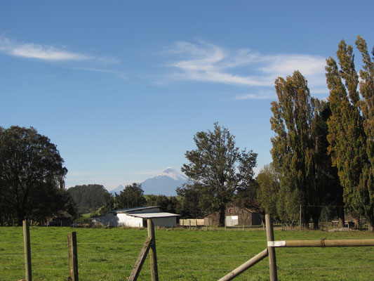 Auf dem Weg von unserem Zuhause zur weitentfernten Bushaltestelle. Der Vulkan Osorno stets im Hintergrund.