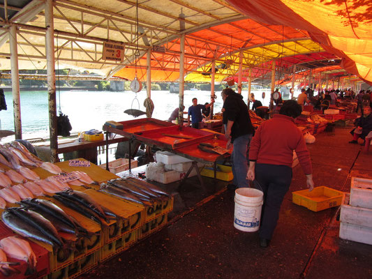 Der Fischmarkt Mercado Fluvial, ist ein schöner Markt direkt am Flußufer nahe dem Stadtzentrum.