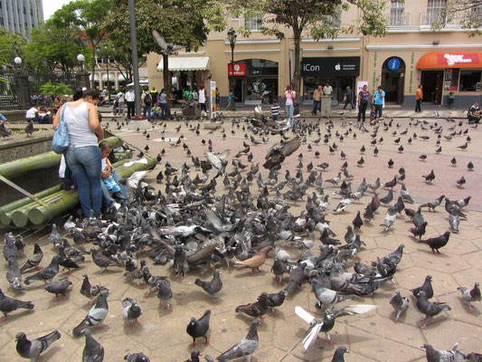 Auf dem Plaza de la Cultura.