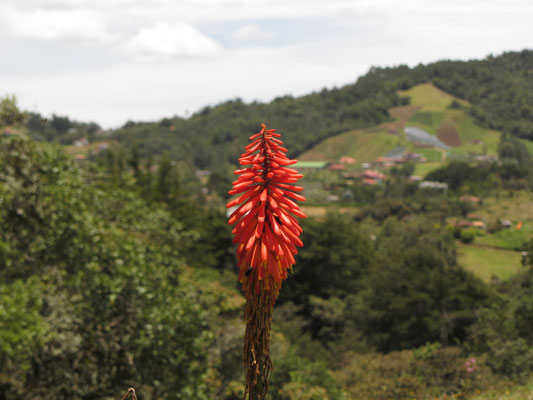 Santa Elena ist schön.