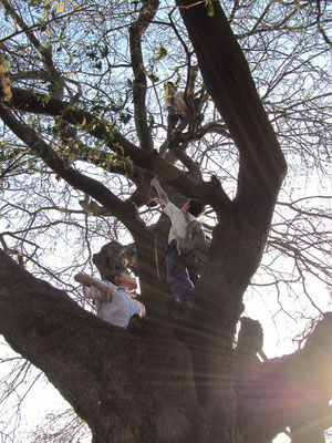 Kinder und ein Baum.