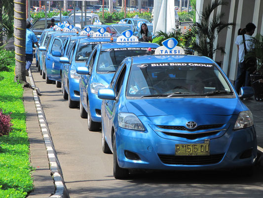 Taxis der "Blue Bird Group" sind angeblich die sichersten. Wenigstens gibt's davon genügend.