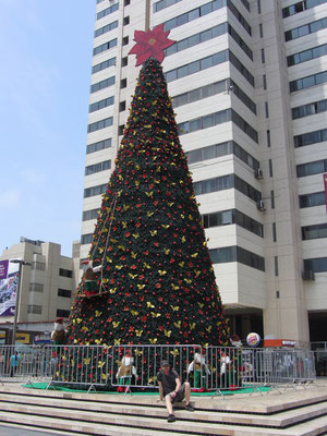 Weihnachtsbaum in der Innenstadt.