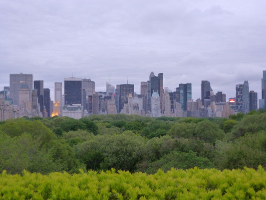 Blick über den Central Park vom Dach des Met.